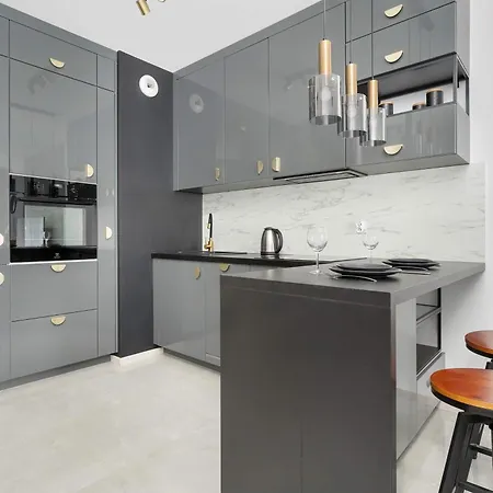 Appartement Lux Traugutta With Air Conditioning And Parking By Renters *