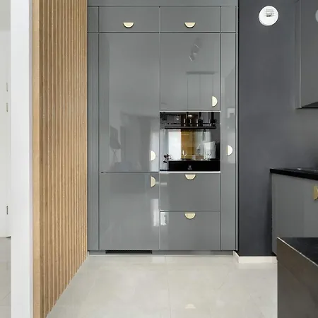 Apartman Lux Traugutta With Air Conditioning And Parking By Renters